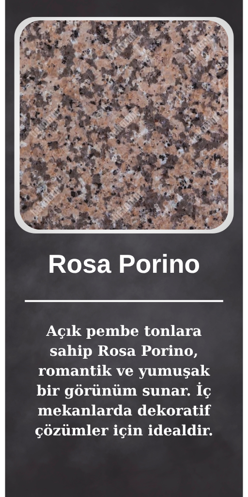 Rosa Porino